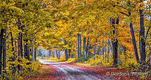 Autumn Back Road_P1200254-6.jpg - Photographed near Toledo, Ontario, Canada.